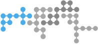 Logo della sezione